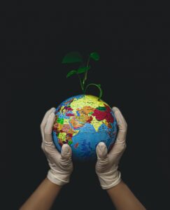 compostabile