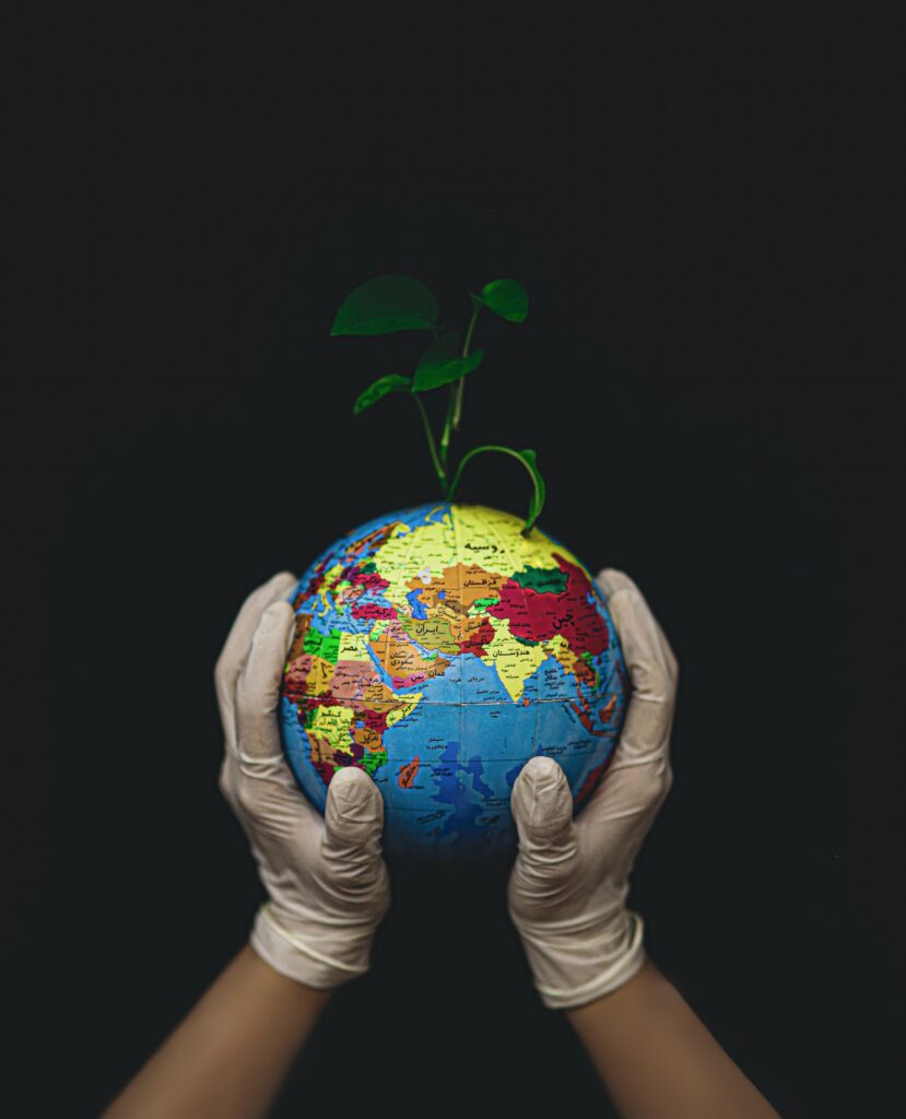 compostabile
